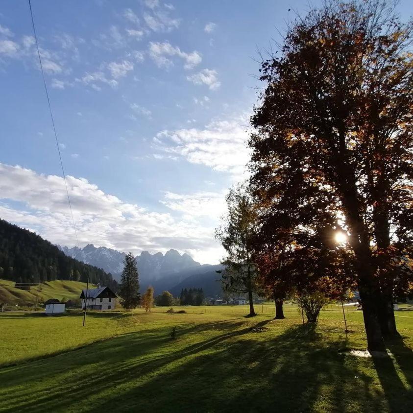 Haus Gruenwald Apartman Gosau Kültér fotó