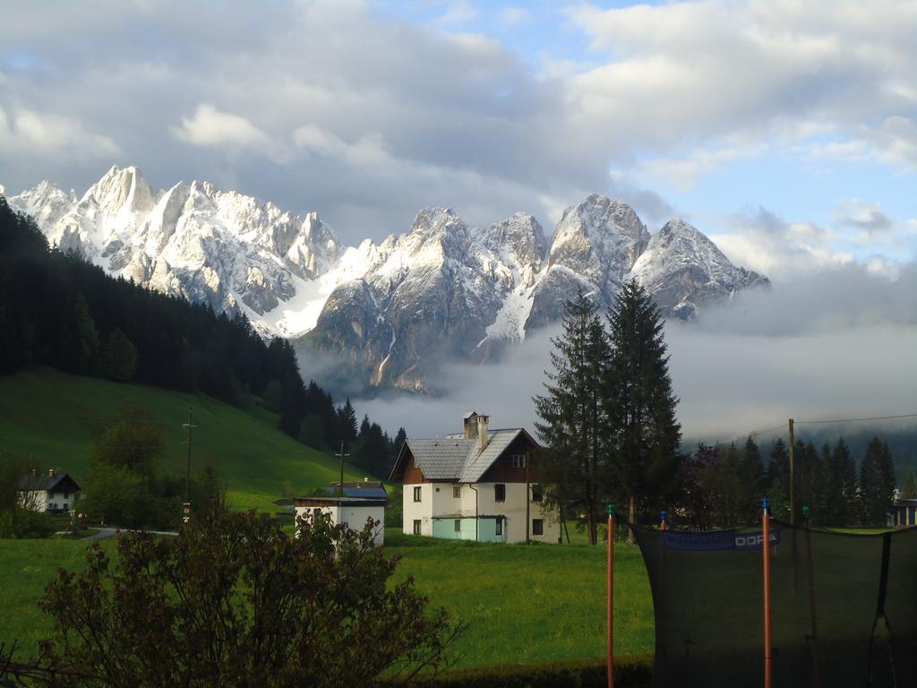 Haus Gruenwald Apartman Gosau Kültér fotó